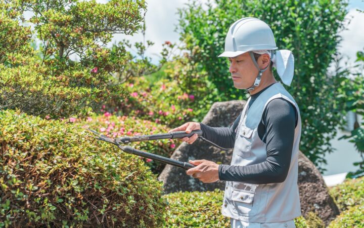 植木の剪定・庭木のお手入れ