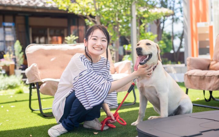 ペットシッター — お留守番中のお散歩・お世話